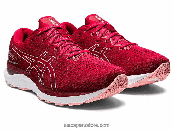 RPVB2858 arándano/rosa helada Asics cúmulo de gel 24