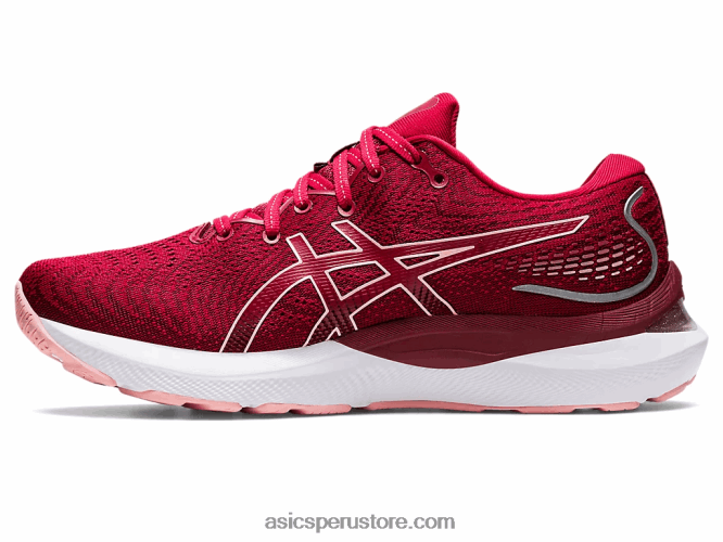 RPVB2858 arándano/rosa helada Asics cúmulo de gel 24
