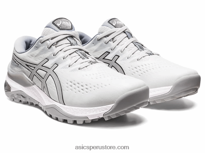 RPVB292 gris glaciar/plata pura Asics gel-kayano as ancho