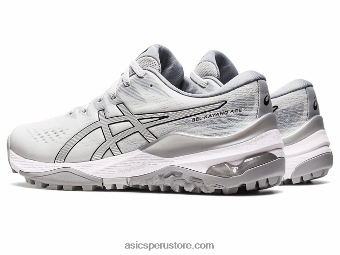 RPVB292 gris glaciar/plata pura Asics gel-kayano as ancho
