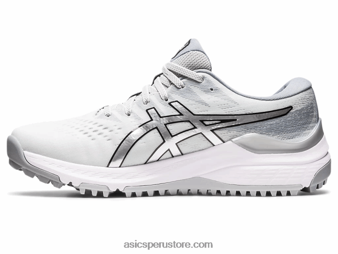 RPVB292 gris glaciar/plata pura Asics gel-kayano as ancho