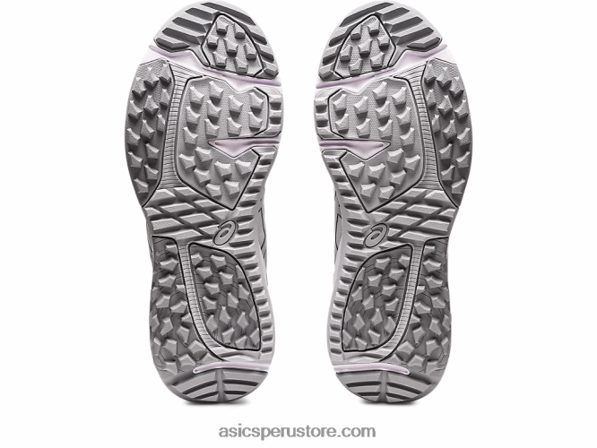 RPVB292 gris glaciar/plata pura Asics gel-kayano as ancho