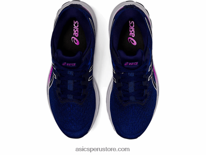 RPVB2983 azul lapislázuli/cielo suave Asics gt-1000 11
