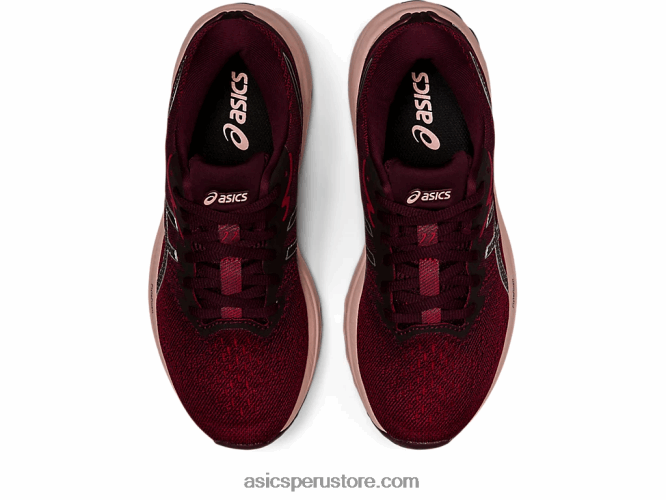 RPVB2995 arándano/plata pura Asics gt-1000 11