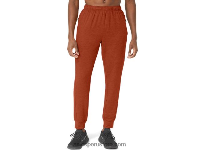 RPVB300 tinte espacial con leche con especias Asics pantalón técnico hombre 20