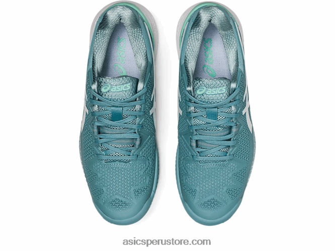 RPVB3087 humo azul/blanco Asics gel-resolución 8 arcilla