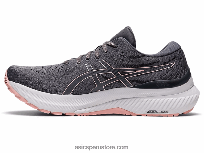 RPVB3124 metrópolis/rosa helada Asics gel-kayano 29