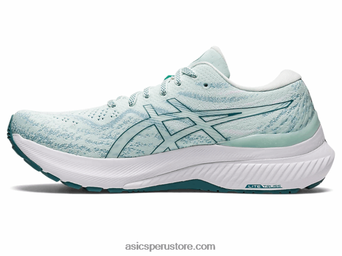 RPVB3127 mar calmante/pino brumoso Asics gel-kayano 29