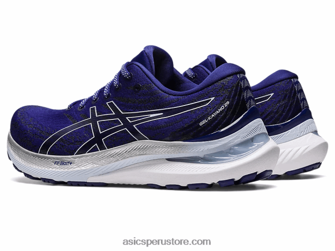 RPVB3133 buceo azul/cielo suave Asics gel-kayano 29