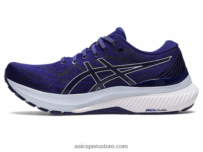 RPVB3133 buceo azul/cielo suave Asics gel-kayano 29