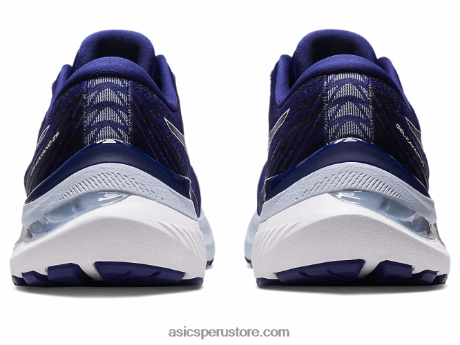 RPVB3133 buceo azul/cielo suave Asics gel-kayano 29