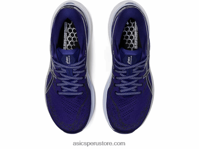 RPVB3133 buceo azul/cielo suave Asics gel-kayano 29