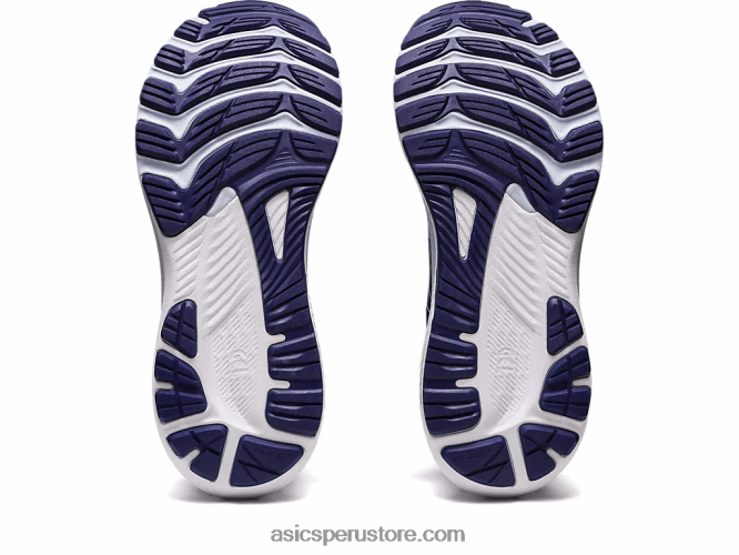 RPVB3133 buceo azul/cielo suave Asics gel-kayano 29