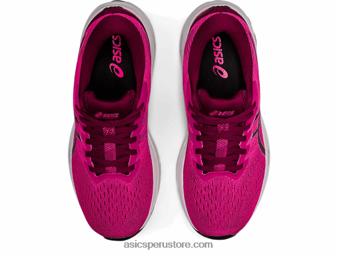 RPVB3211 bayas secas/glo rosa Asics gt-1000 11