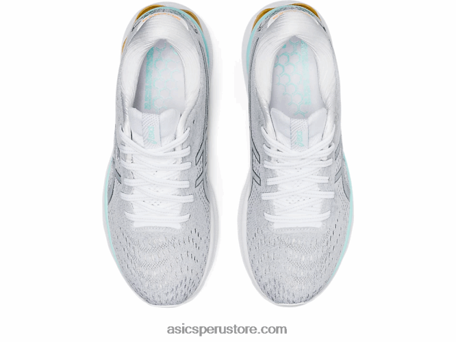 RPVB3234 blanco/plata pura Asics gel-nimbus 24