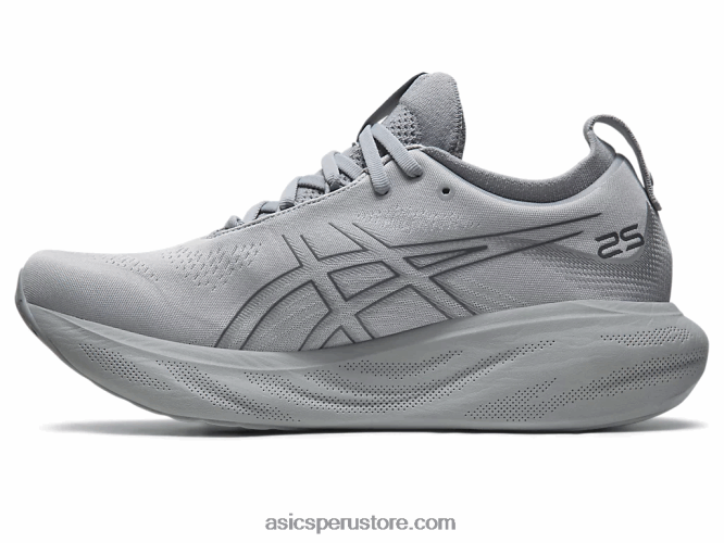 RPVB332 placas de yeso/gris portador Asics gel-nimbus 25