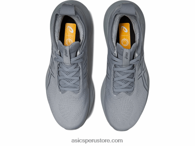 RPVB332 placas de yeso/gris portador Asics gel-nimbus 25