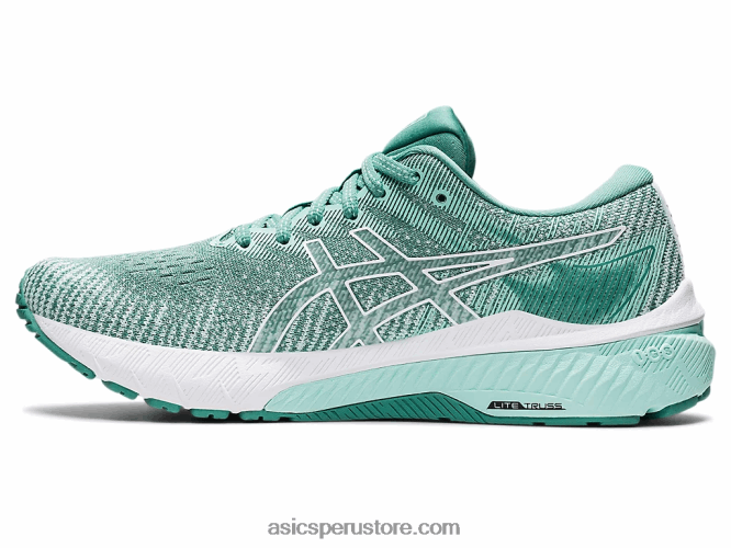 RPVB3427 salvia/blanco Asics gt-2000 10