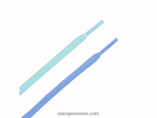 RPVB3606 azul bígaro/plata pura Asics netburner balístico ff 2