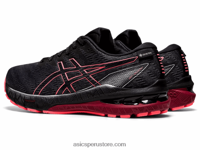RPVB3613 portador gris/negro Asics gt-2000 10 g-tx
