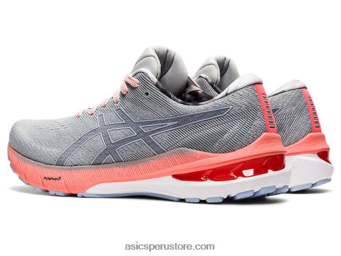 RPVB3617 sombra polar/niebla Asics gt-2000 10