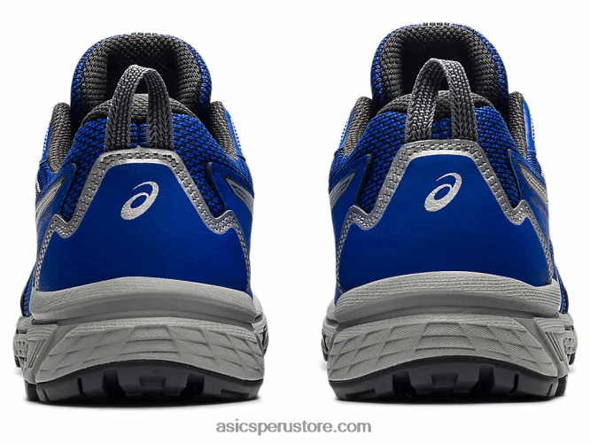 RPVB3630 azul lapislázuli/plata pura Asics empresa de gel 8