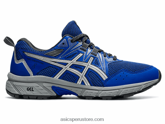 RPVB3630 azul lapislázuli/plata pura Asics empresa de gel 8