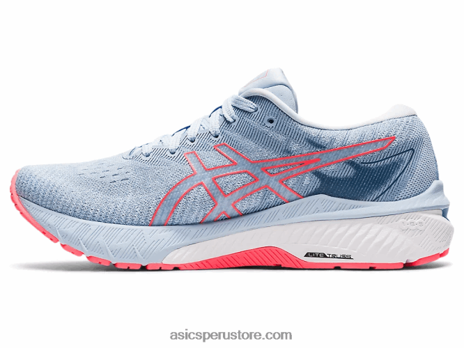RPVB3708 niebla/coral ardiente Asics gt-2000 10