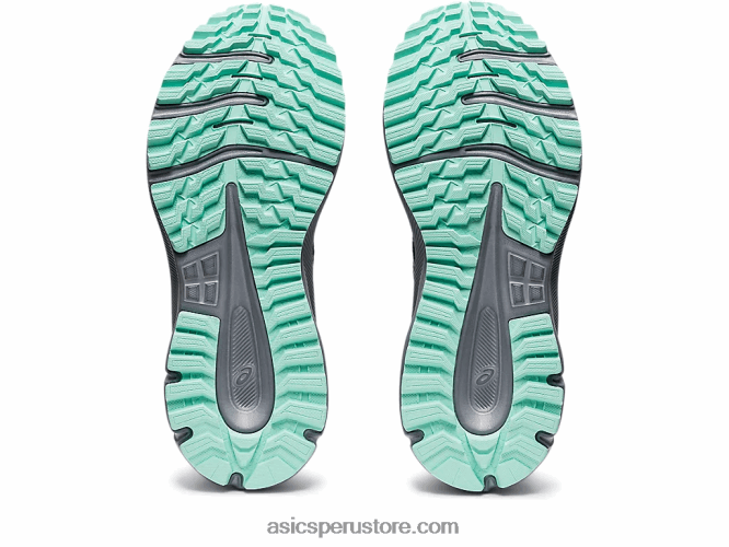 RPVB3730 negro/abedul Asics explorador de senderos 2