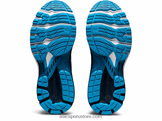 RPVB3737 azul francés/blanco Asics gt-2000 9 de punto
