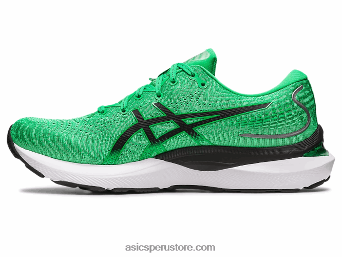 RPVB392 cilantro/negro Asics cúmulo de gel 24