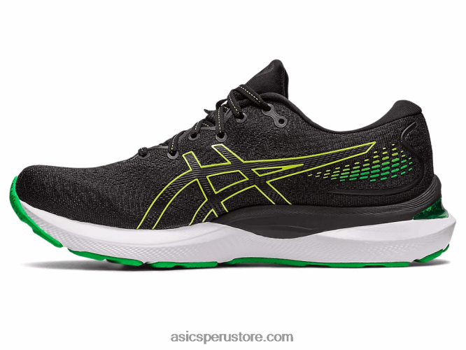 RPVB422 ralladura de lima/negra Asics cúmulo de gel 24