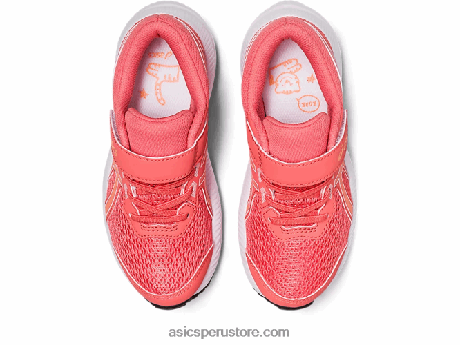 RPVB4259 duna de papaya/verano Asics contend 8 preescolar