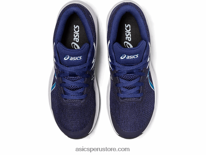 RPVB4314 azul índigo/azul renacido Asics escuela primaria gt-1000 11