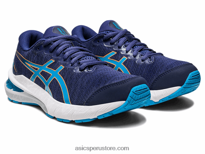 RPVB4336 azul índigo/azul isla Asics escuela primaria gt-2000 11