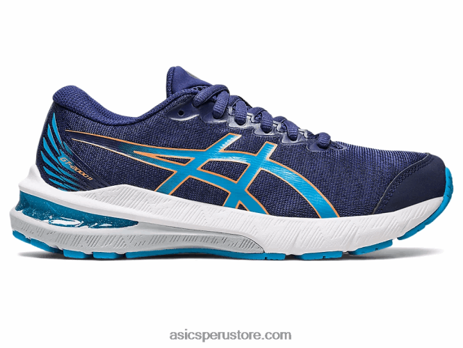 RPVB4336 azul índigo/azul isla Asics escuela primaria gt-2000 11