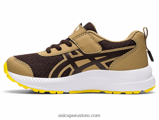 RPVB4482 café/café Asics contend 7 preescolar