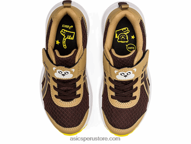 RPVB4482 café/café Asics contend 7 preescolar