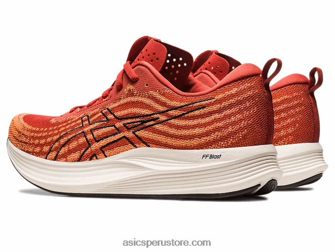 RPVB501 latte de especias/negro Asics velocidad de evoride