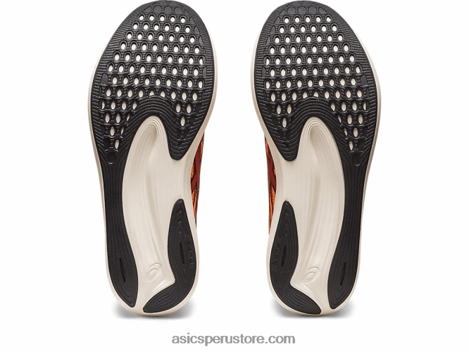 RPVB501 latte de especias/negro Asics velocidad de evoride