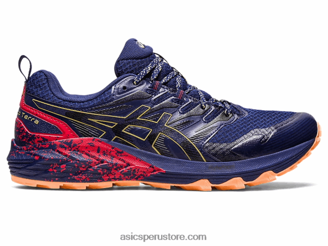 RPVB637 azul índigo/aceite de oliva Asics gel-trabuco terra