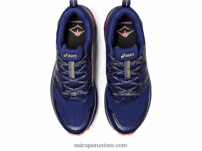 RPVB637 azul índigo/aceite de oliva Asics gel-trabuco terra