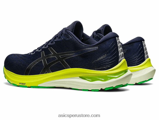 RPVB683 medianoche negro Asics gt-2000 11