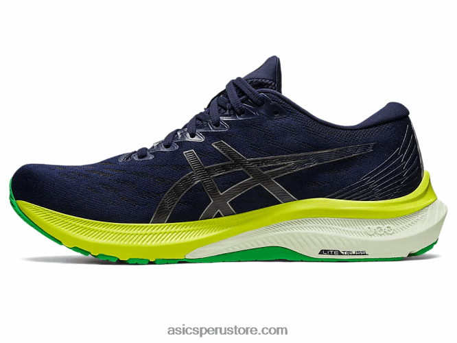 RPVB683 medianoche negro Asics gt-2000 11