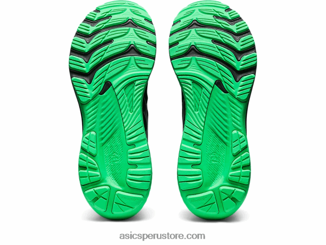 RPVB725 negro/hoja nueva Asics gel-kayano 29 lite-espectáculo