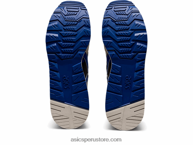 RPVB766 gris obsidiana/azul ilusión Asics gt-ii