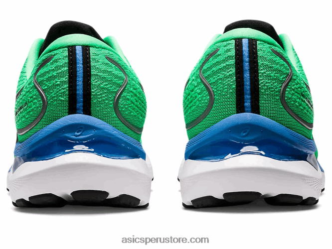 RPVB811 hoja nueva/negro Asics gel-cumulus 24 ekiden