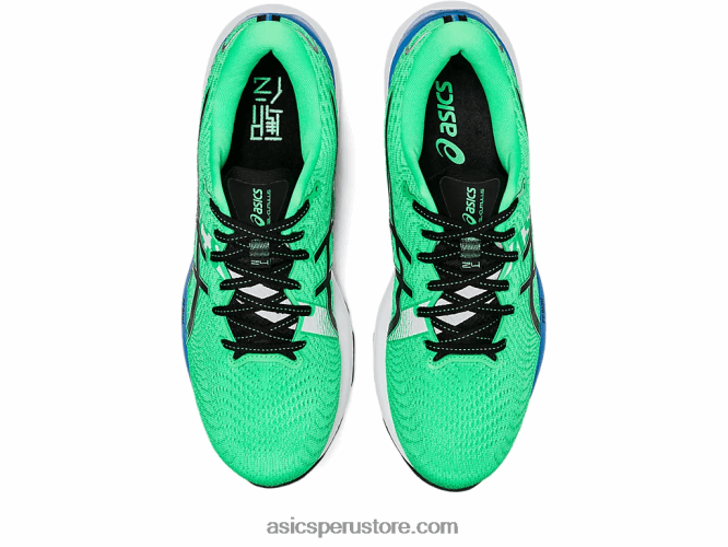 RPVB811 hoja nueva/negro Asics gel-cumulus 24 ekiden