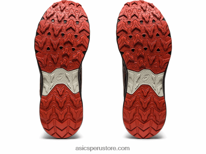 RPVB84 gris grafito/latte especiado Asics empresa de gel 9