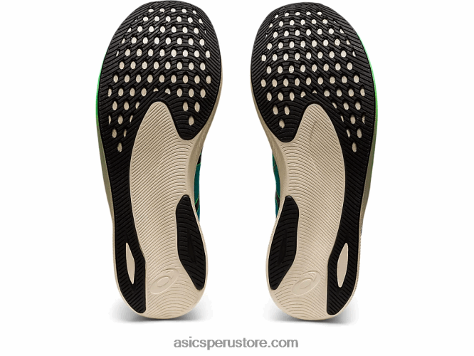 RPVB846 hoja nueva/negro Asics velocidad mágica 2 ekiden